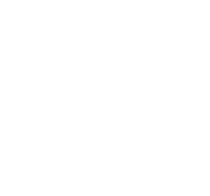 SBA Certified Service-Disabled Veteran-Owned Small Business